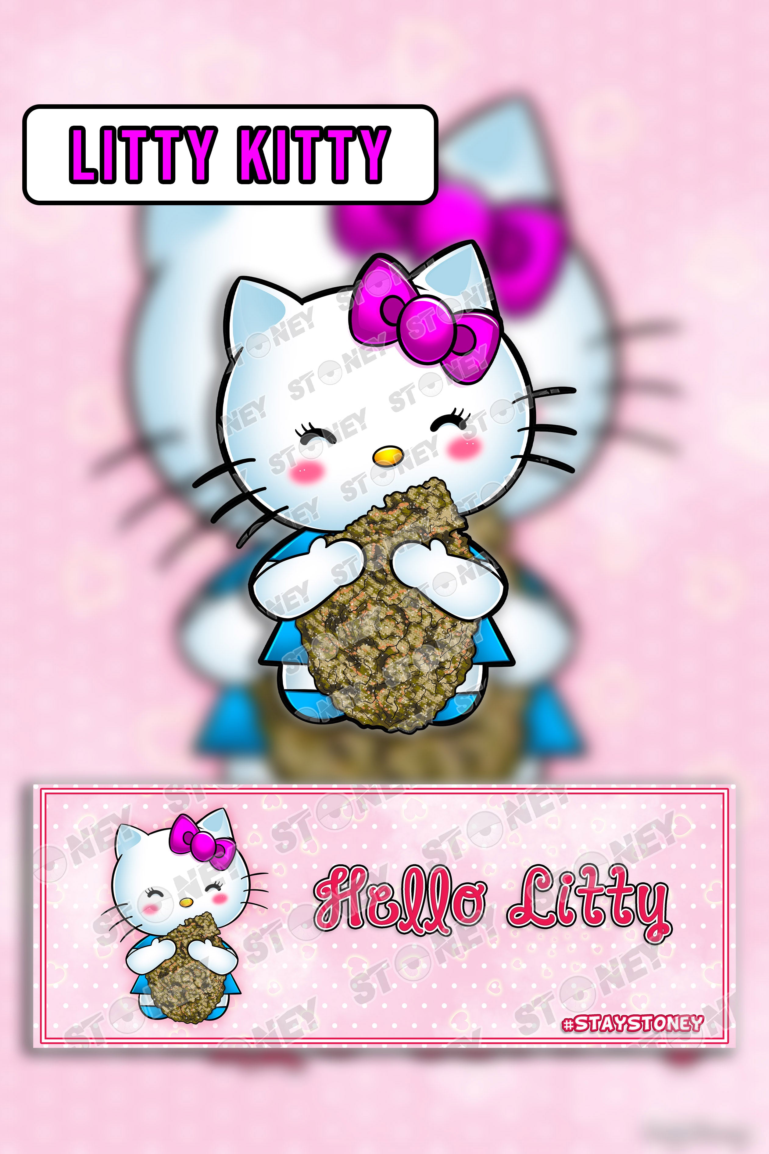 Hola Litty Decals image 0