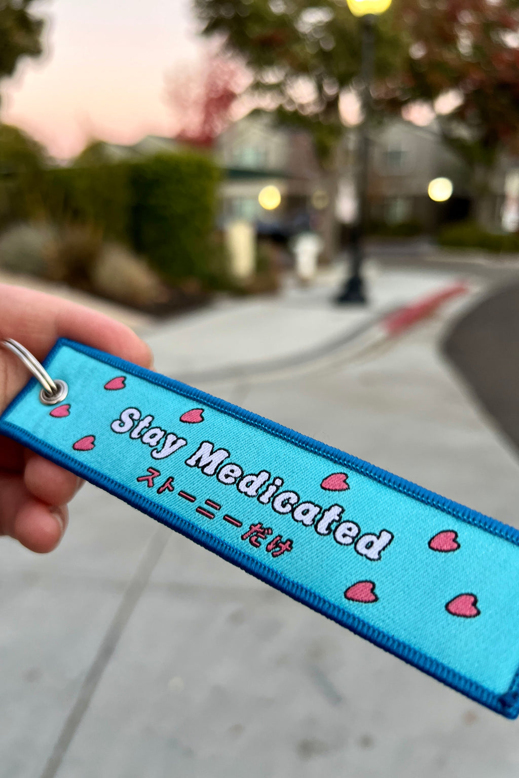 Dr. Blue Nose Tag Keychain image 1