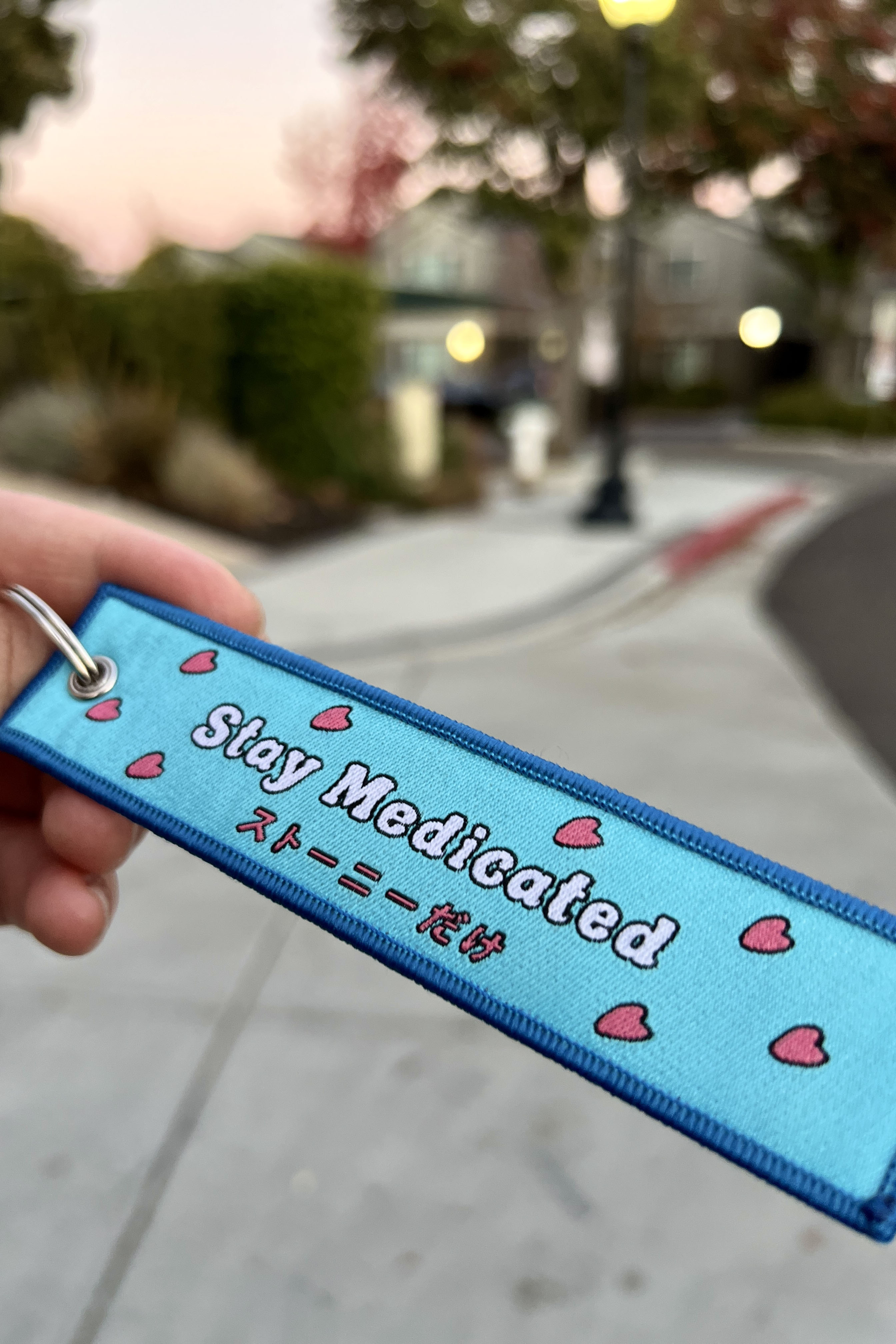 Dr. Blue Nose Tag Keychain image 1